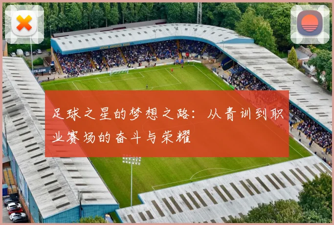 足球之星的梦想之路：从青训到职业赛场的奋斗与荣耀