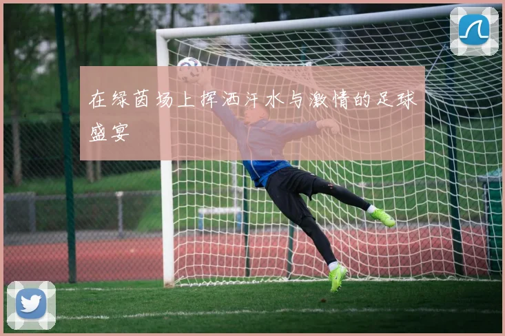 在绿茵场上挥洒汗水与激情的足球盛宴
