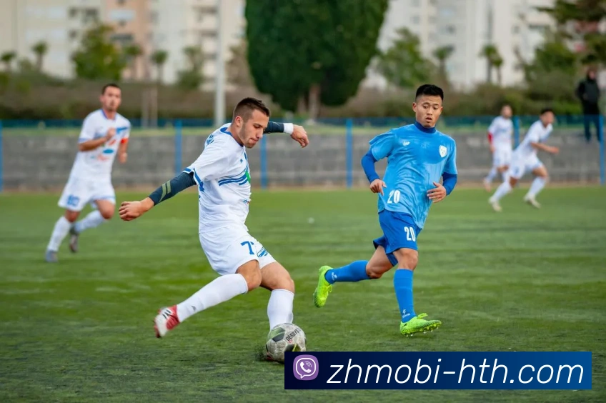 探索符号篮球笔的创意设计与实用功能，助力篮球爱好者的个性化表达与记录